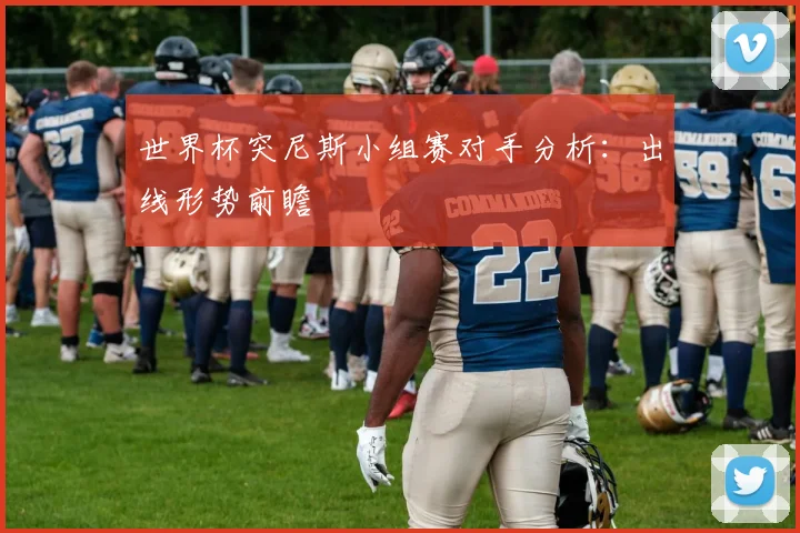 世界杯突尼斯小组赛对手分析：出线形势前瞻