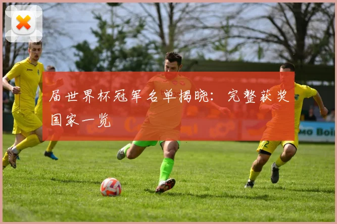 届世界杯冠军名单揭晓:完整获奖国家一览