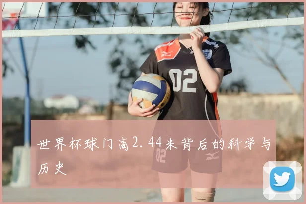 世界杯球门高2.44米背后的科学与历史