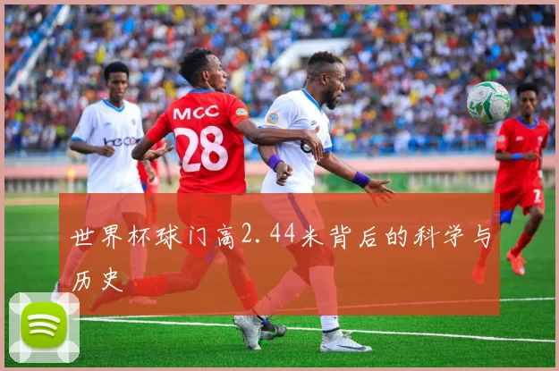 世界杯球门高2.44米背后的科学与历史