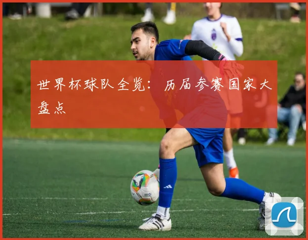 世界杯球队全览:历届参赛国家大盘点