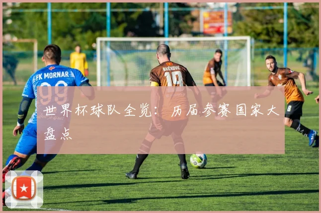 世界杯球队全览:历届参赛国家大盘点
